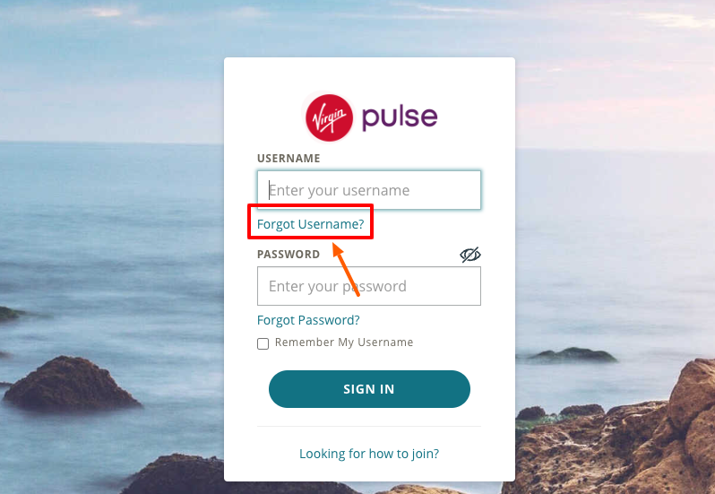 virgin pulse member forgot username